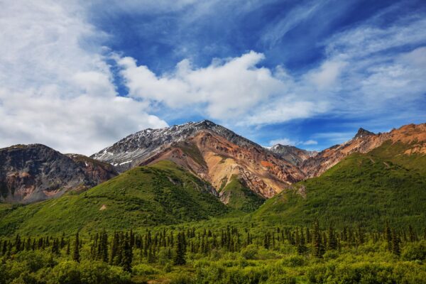 Home - GoNorth Alaska