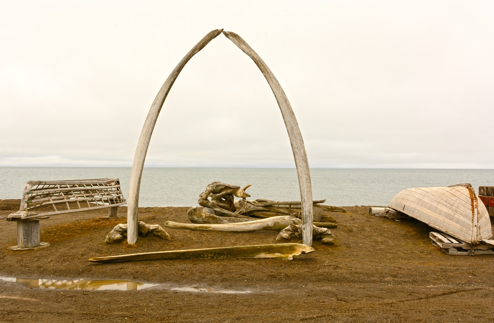 Utqiaġvik whale bone triangle