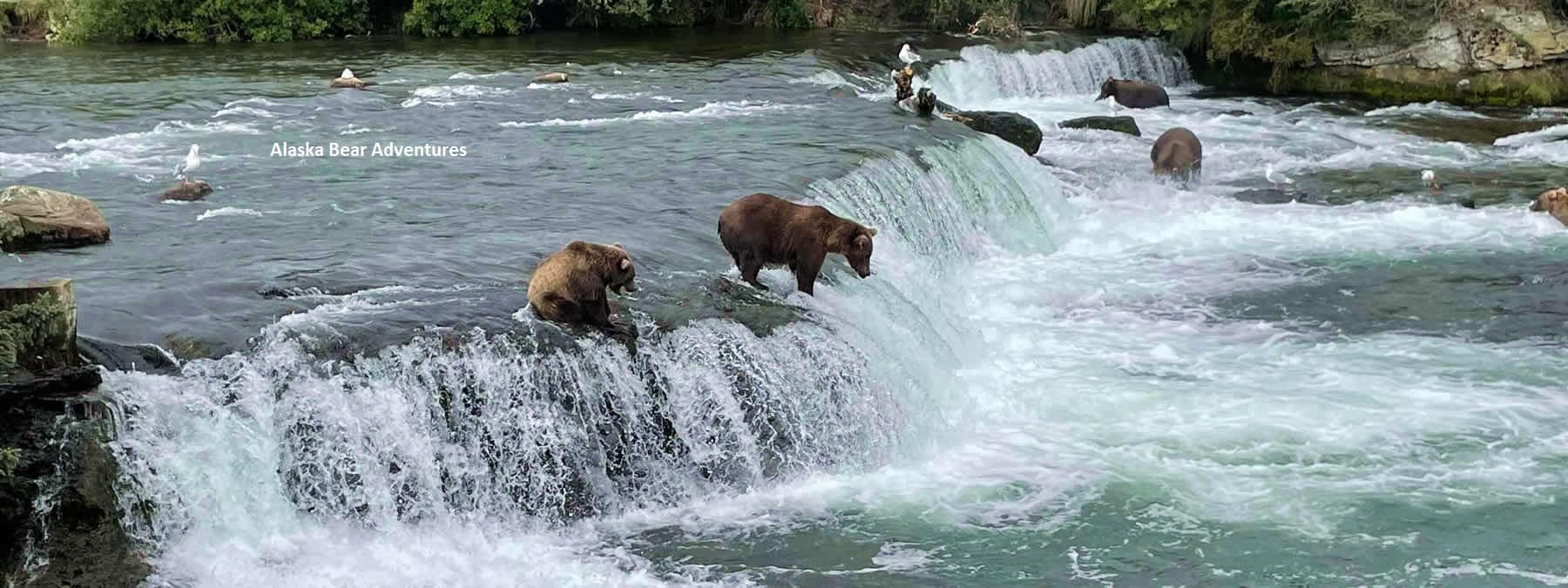 Alaska Bear Adventures Brooks Falls