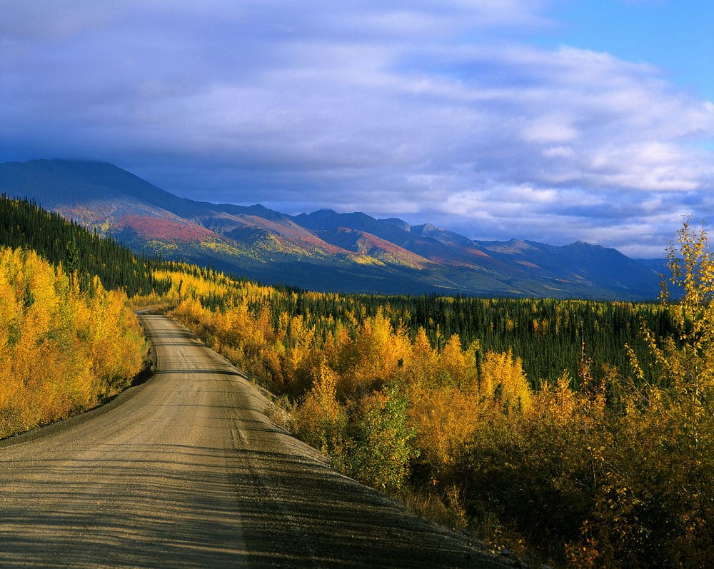 Gravel road in the Yukon in fall