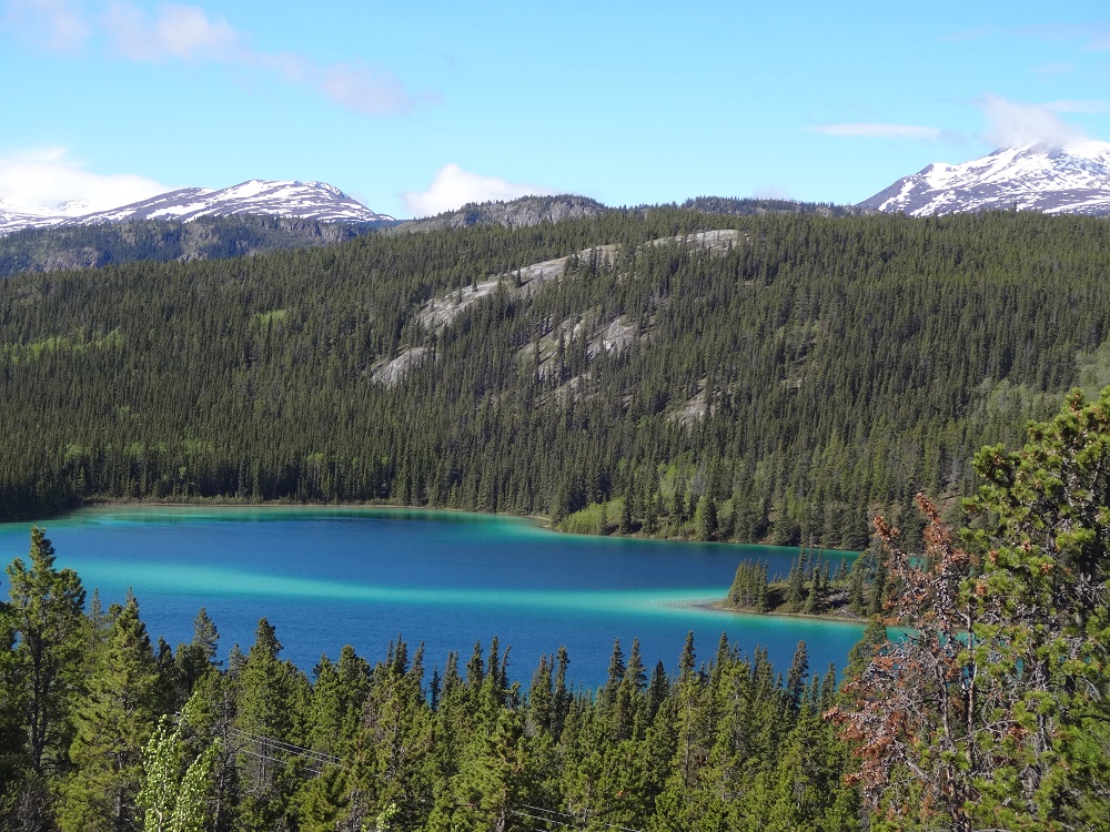 Emerald-Lake Splendid Nature of the Yukon
