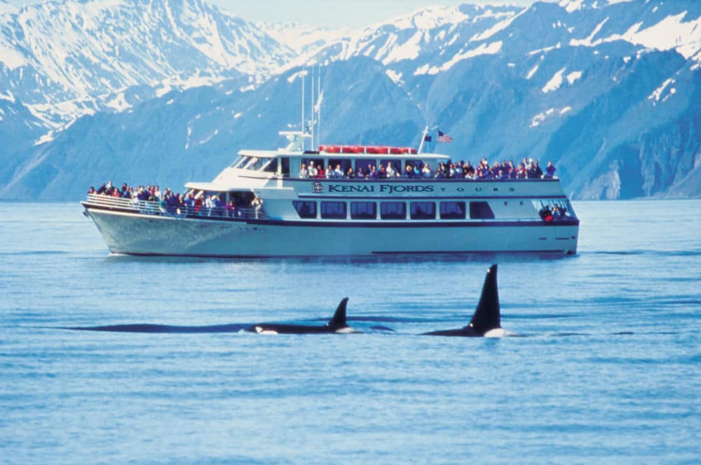 Kenai Fjords Cruises - GoNorth Alaska