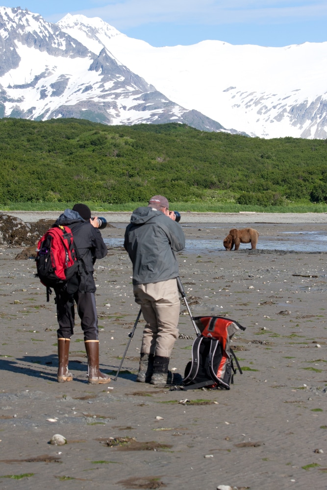 2 people photographing a bear