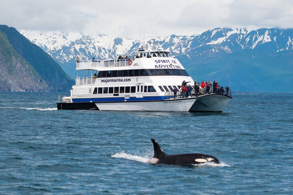 Major Marine Tours Cruises - GoNorth Alaska