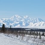 Mount Denali covered in snow during daylight with some bushes in front