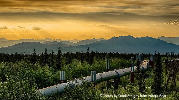 Alaska Pipeline in the woods mountains in the back and orange sky