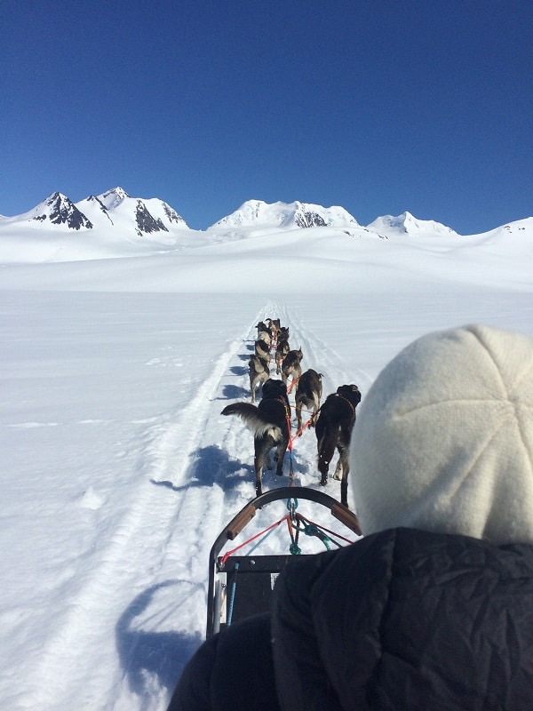 Dog sled tour on a glacier in summer , Alaska Helicopter Tours
