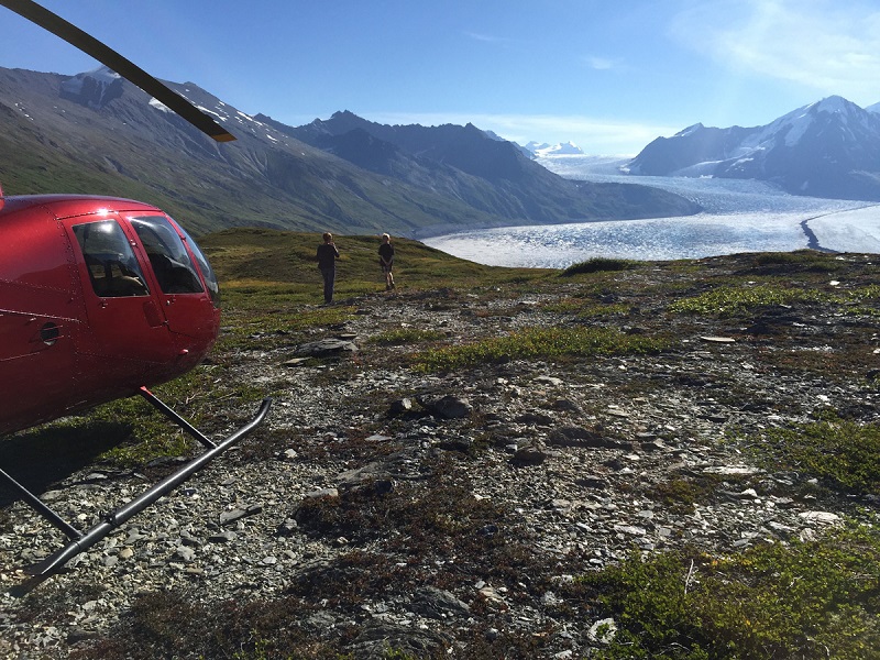 Walk on alpine tundra, with Alaska Helicopter Tours