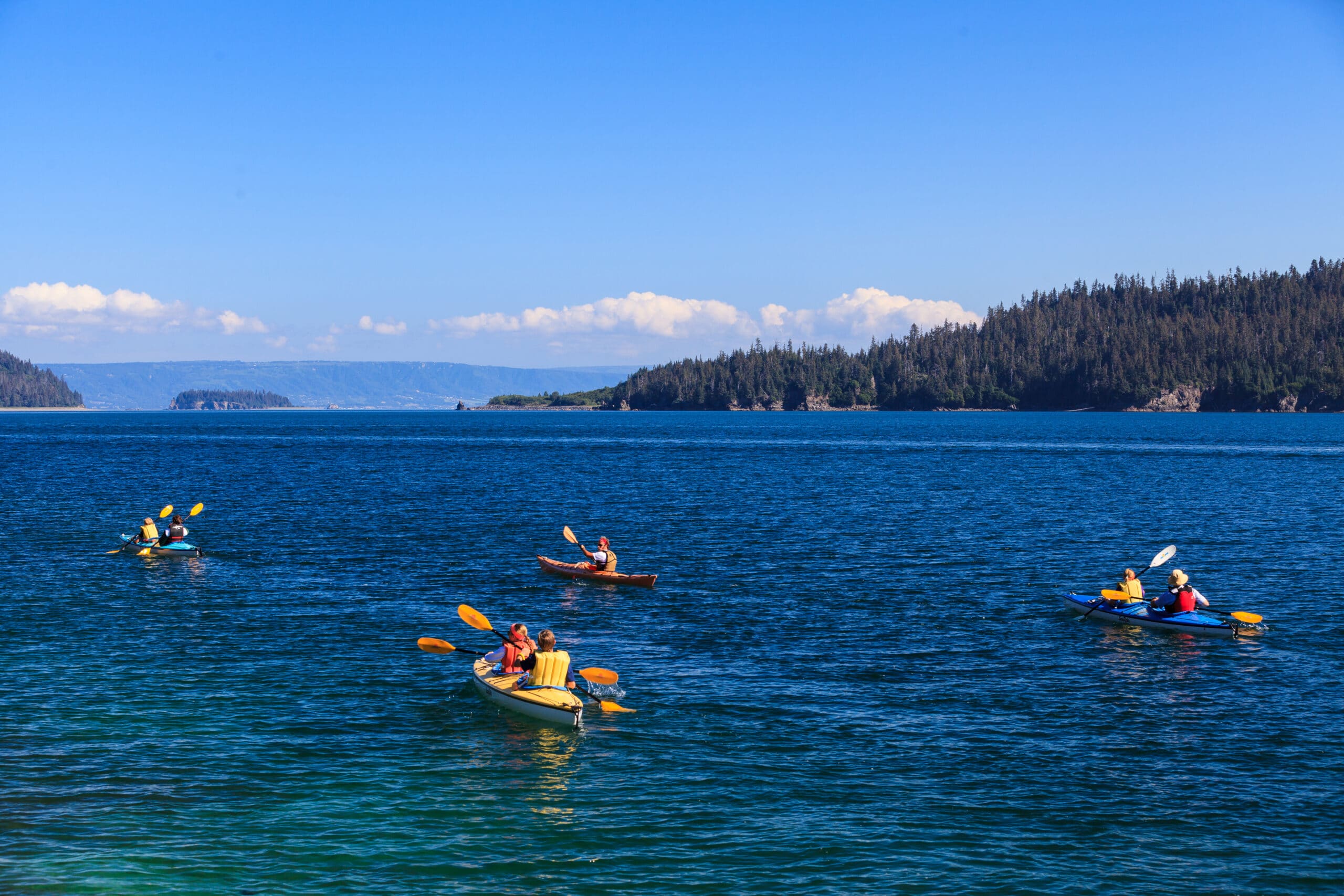 4 kayaks on the sea