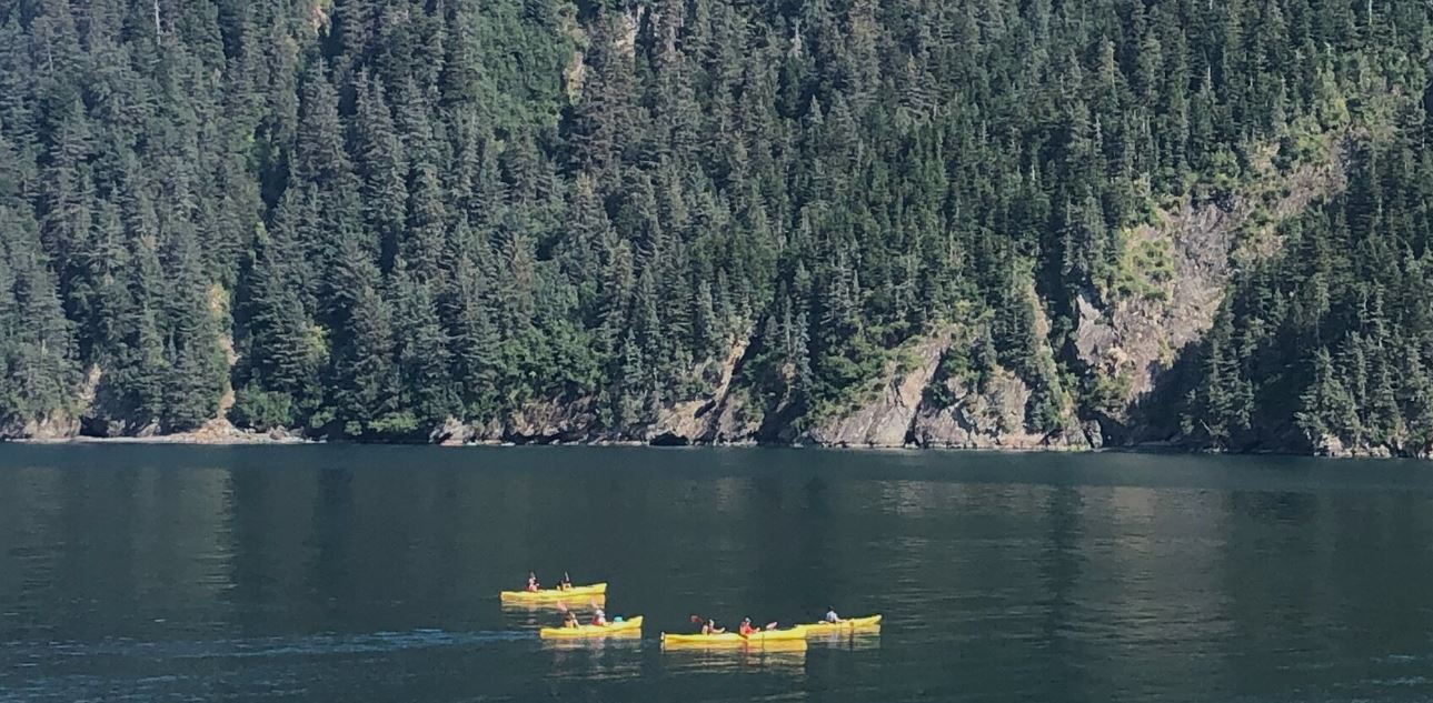 6 yellow kayaks in front of nice scenerey with wooded mountains in the back