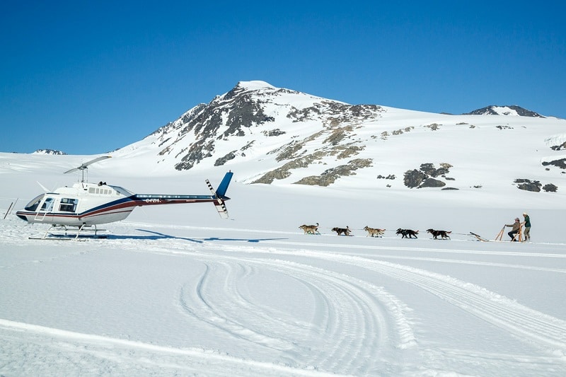Alaska Helicopter Tours with dog team behind