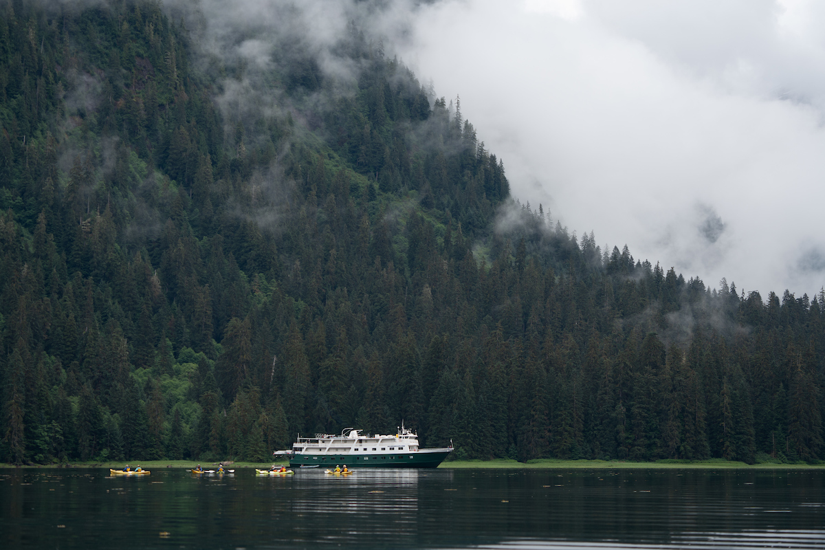 Uncruise Kayaking and the Wilderness Explorer in Misty Fjords
