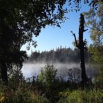 fog over a lake surrounded by trees during daylight
