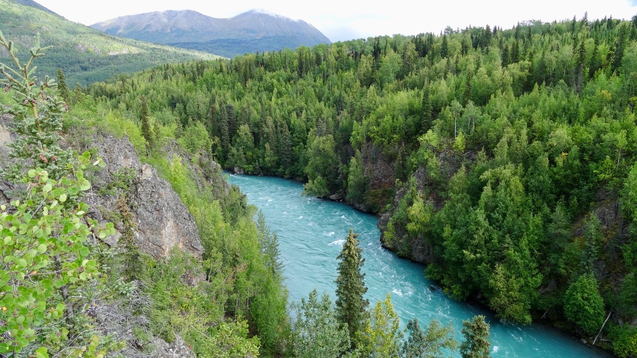 a turquoise blue river with tress around it and mountains in the back