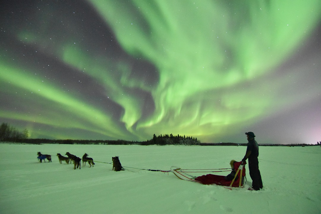 od's Alaskan aurora DOG MUSHING