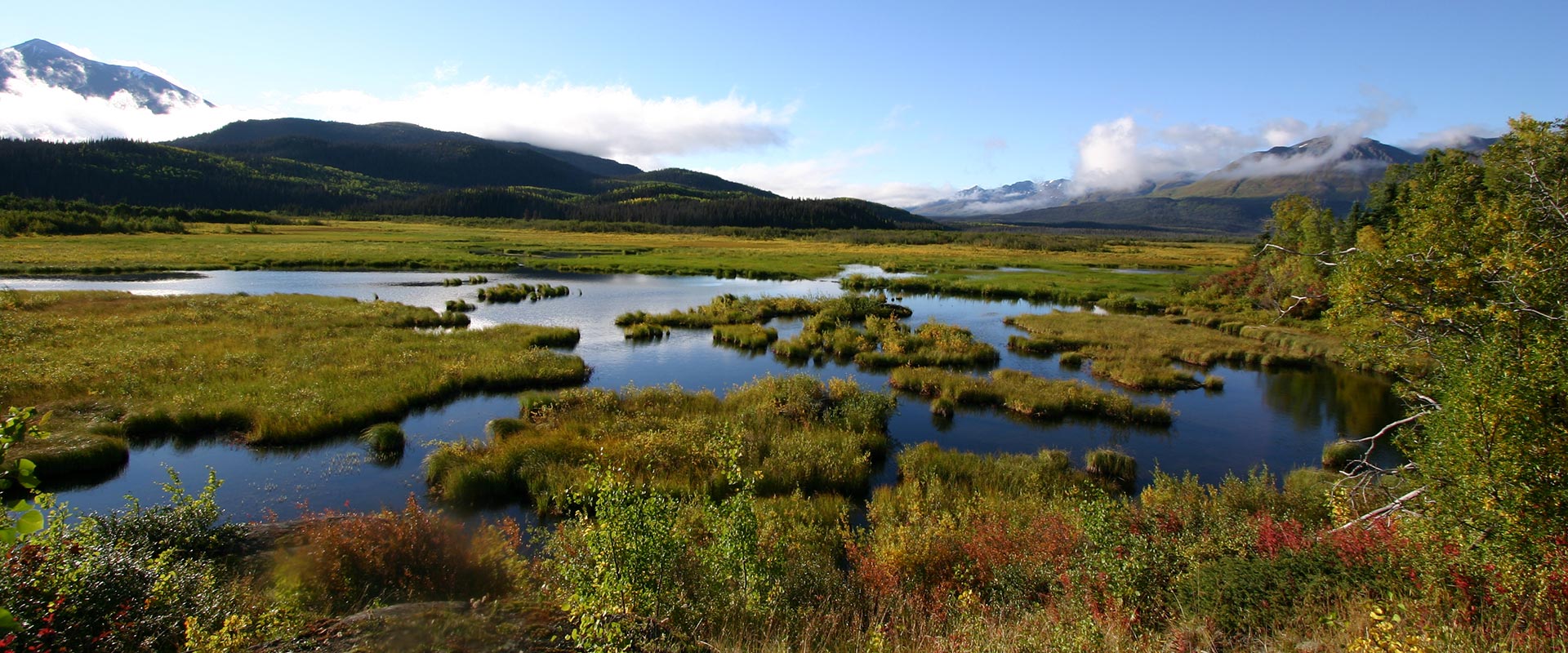 Dalton Trail Lodge scenery