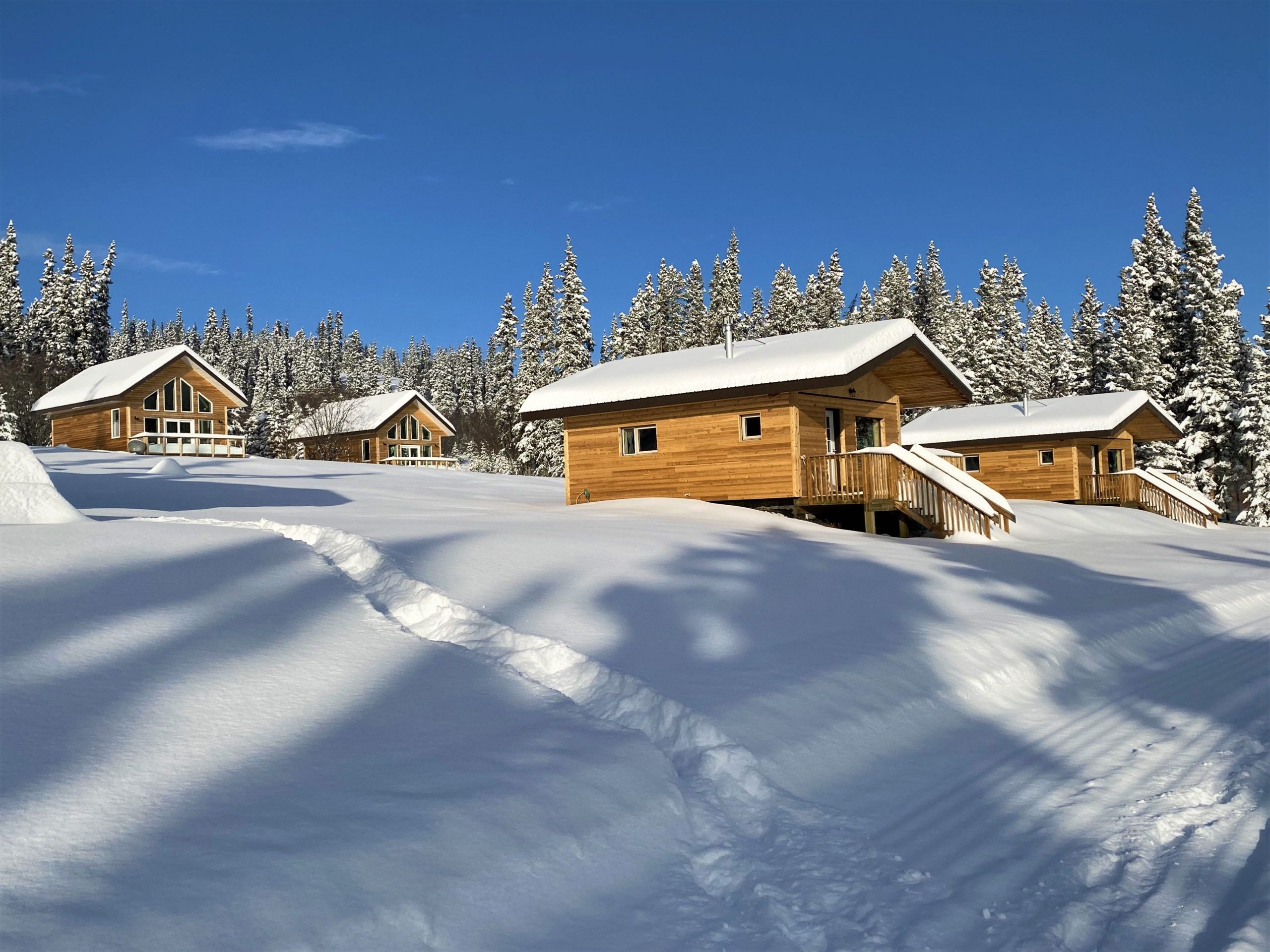 snowcapped cabins in winter