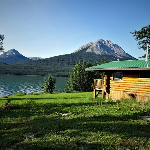 a cabin on green grass in front of a lake