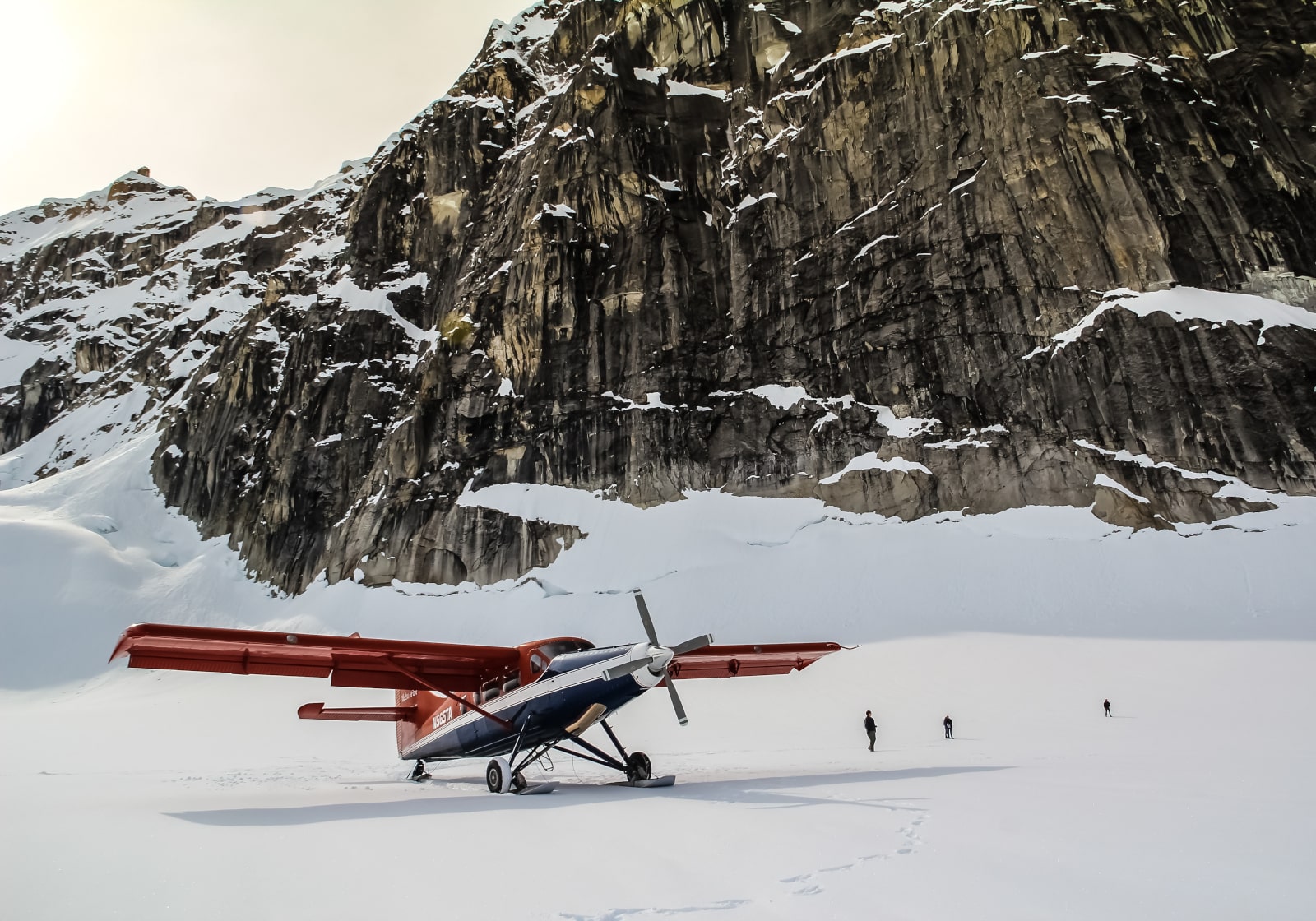 Talkeetna Air Taxi, Landing