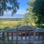 bench overlooking Kincaid Park