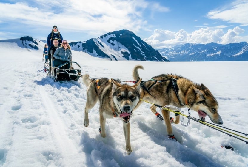 Alaska Helicopter Seward, Dog Tour