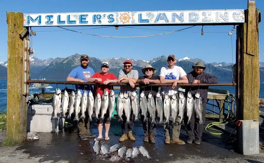 Miller's Landing Fishing trip salmon catch